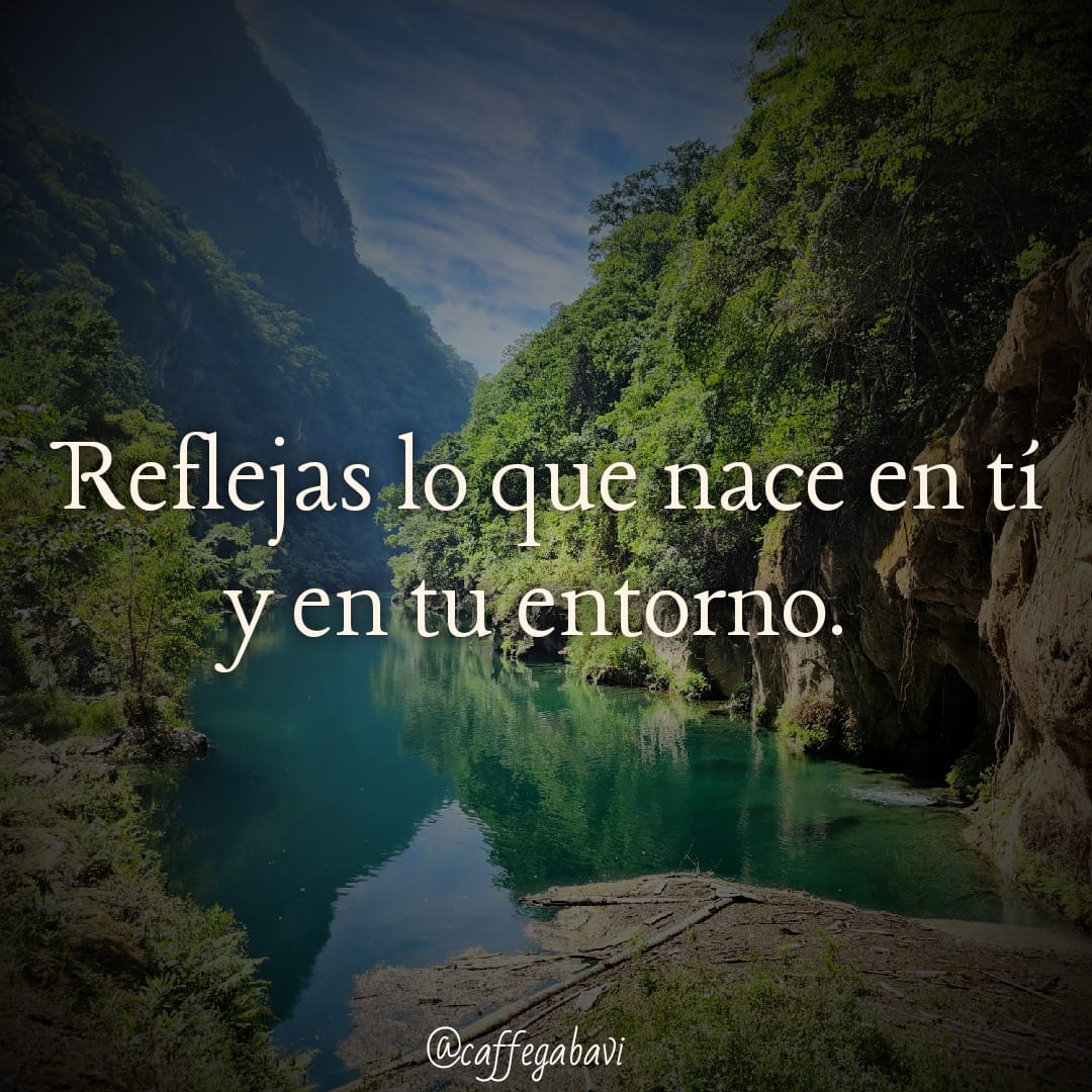 ¿De qué nutres a tu entorno? ¿Y tu entorno a tí?