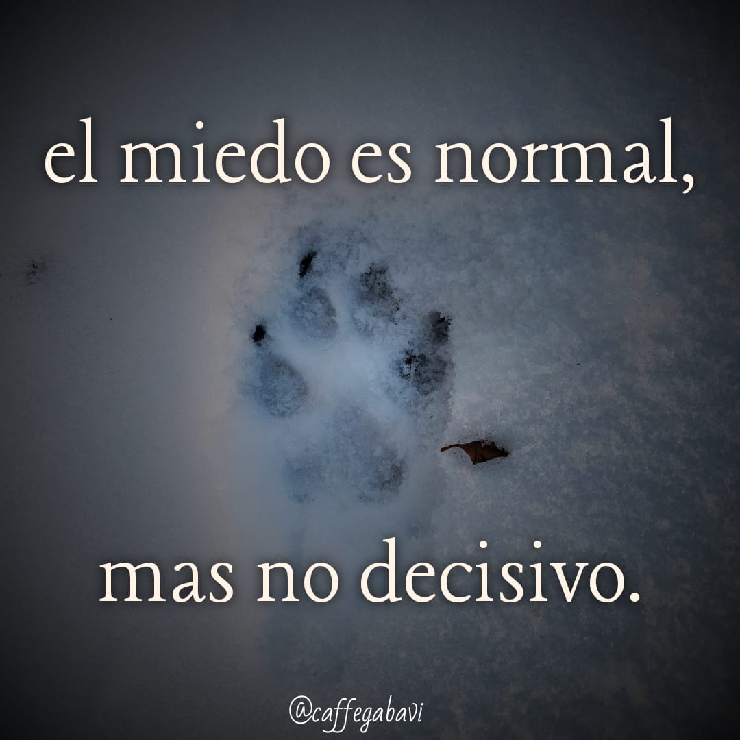 El miedo retrasa pero no detiene.