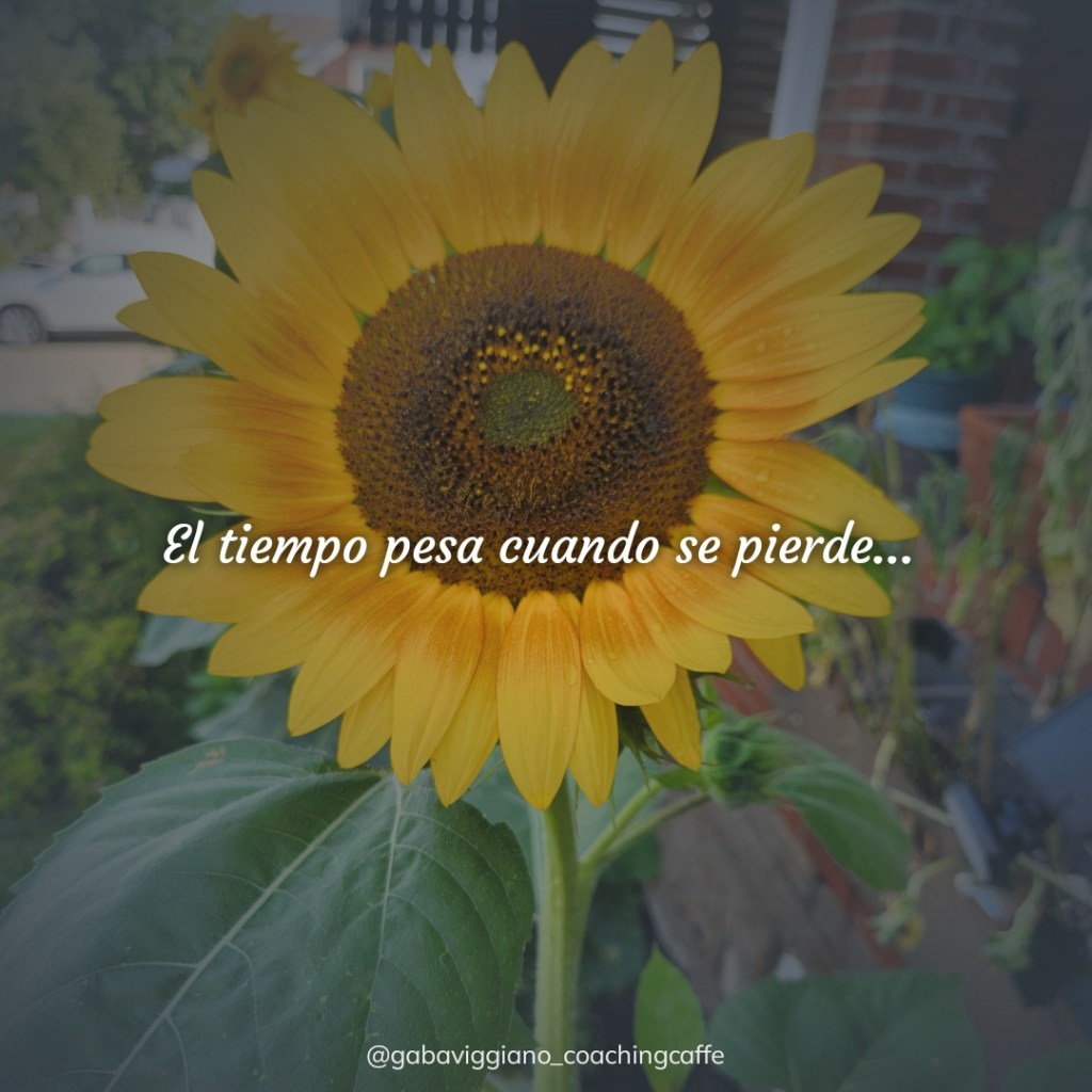 Cada segundo cuenta…