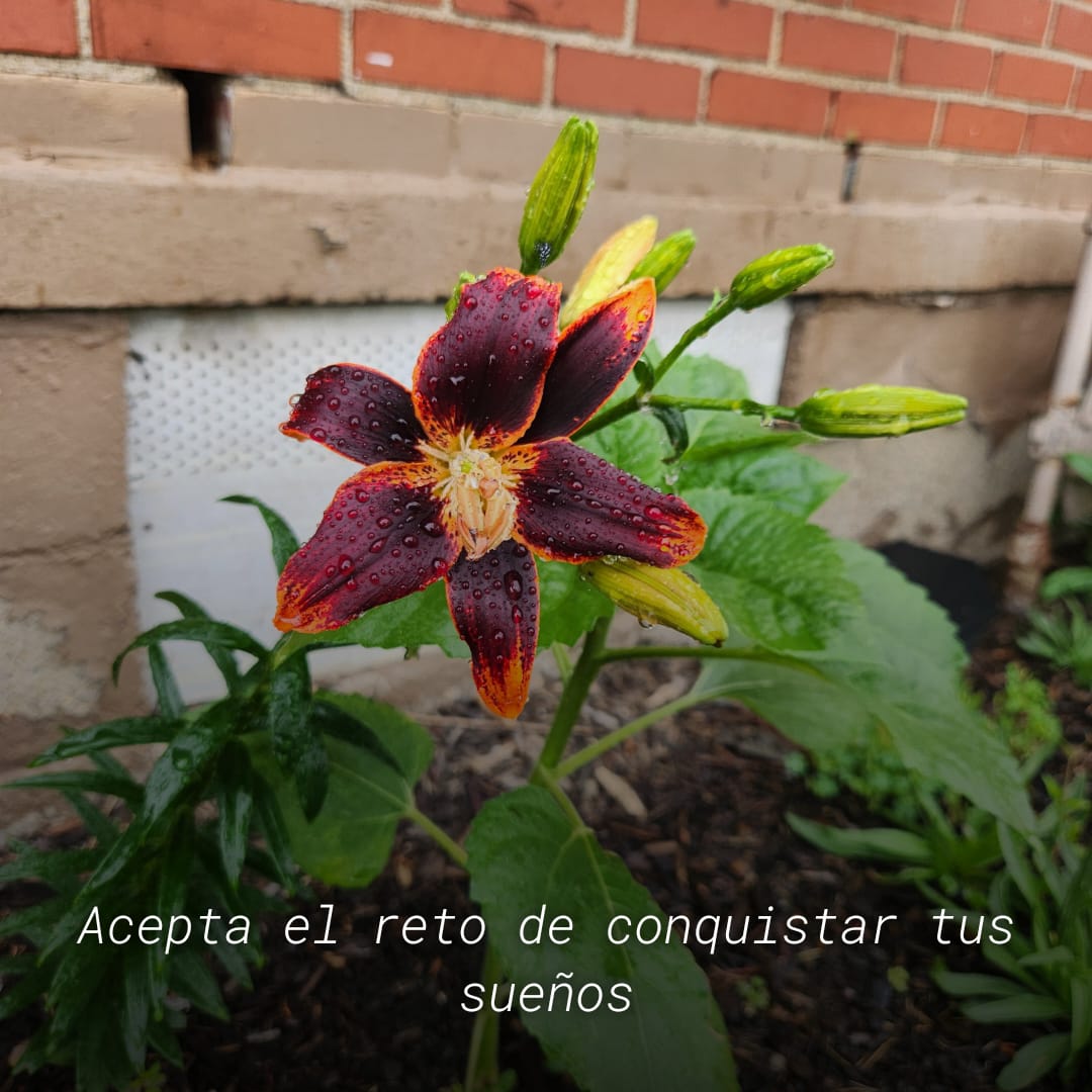 Tu sueño, tu reto, tu conquista.