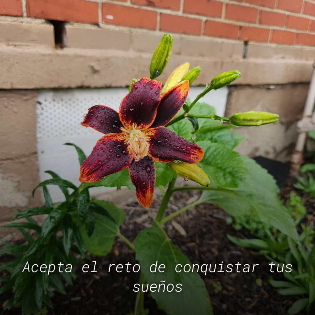 Tu sueño, tu reto, tu&nbsp;conquista.