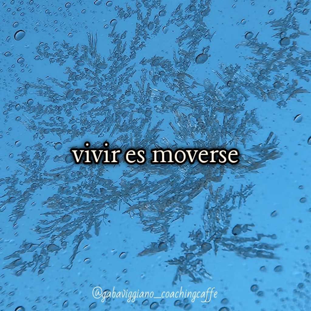 Activa tu Transformación