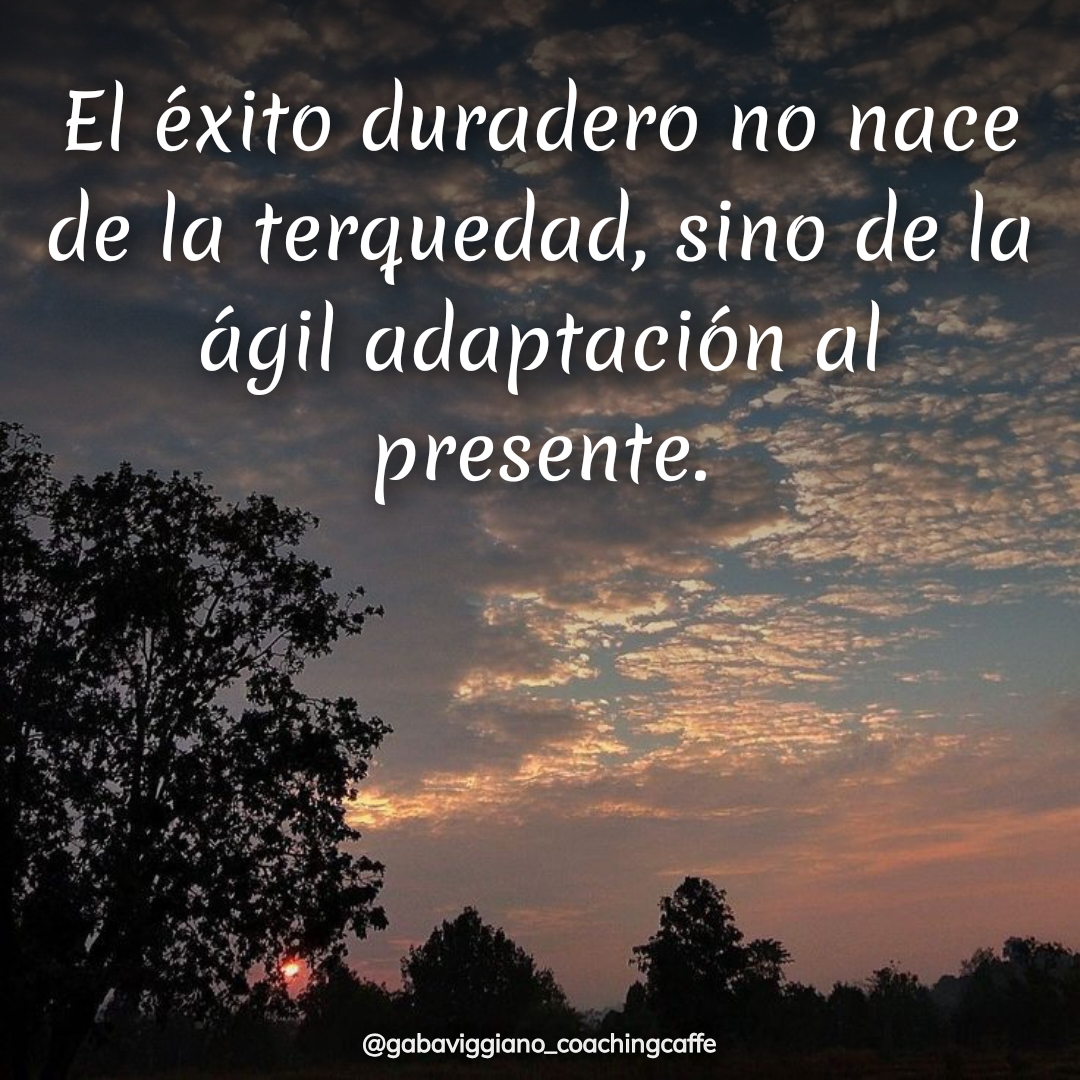 Agilidad no terquedad