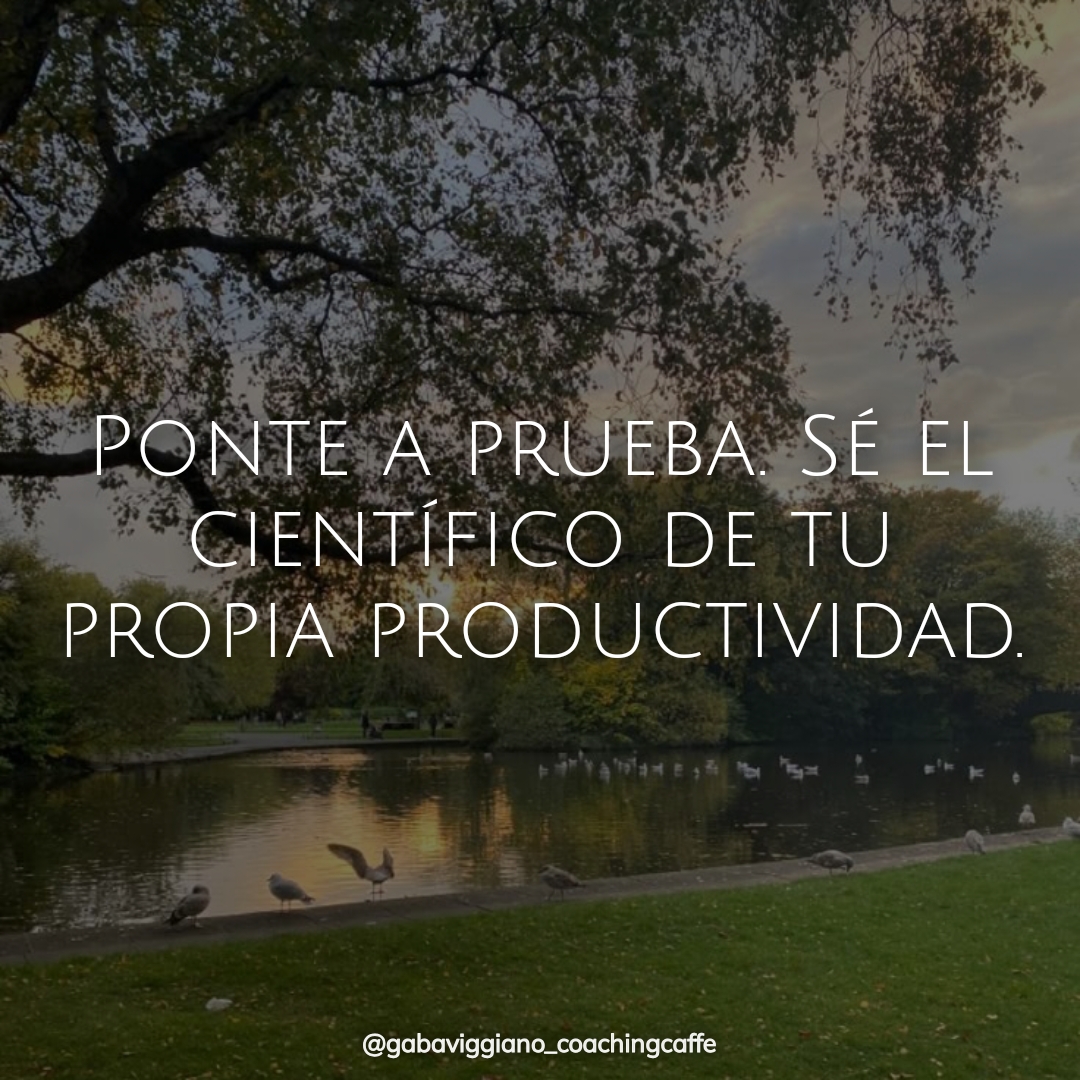 Productividad