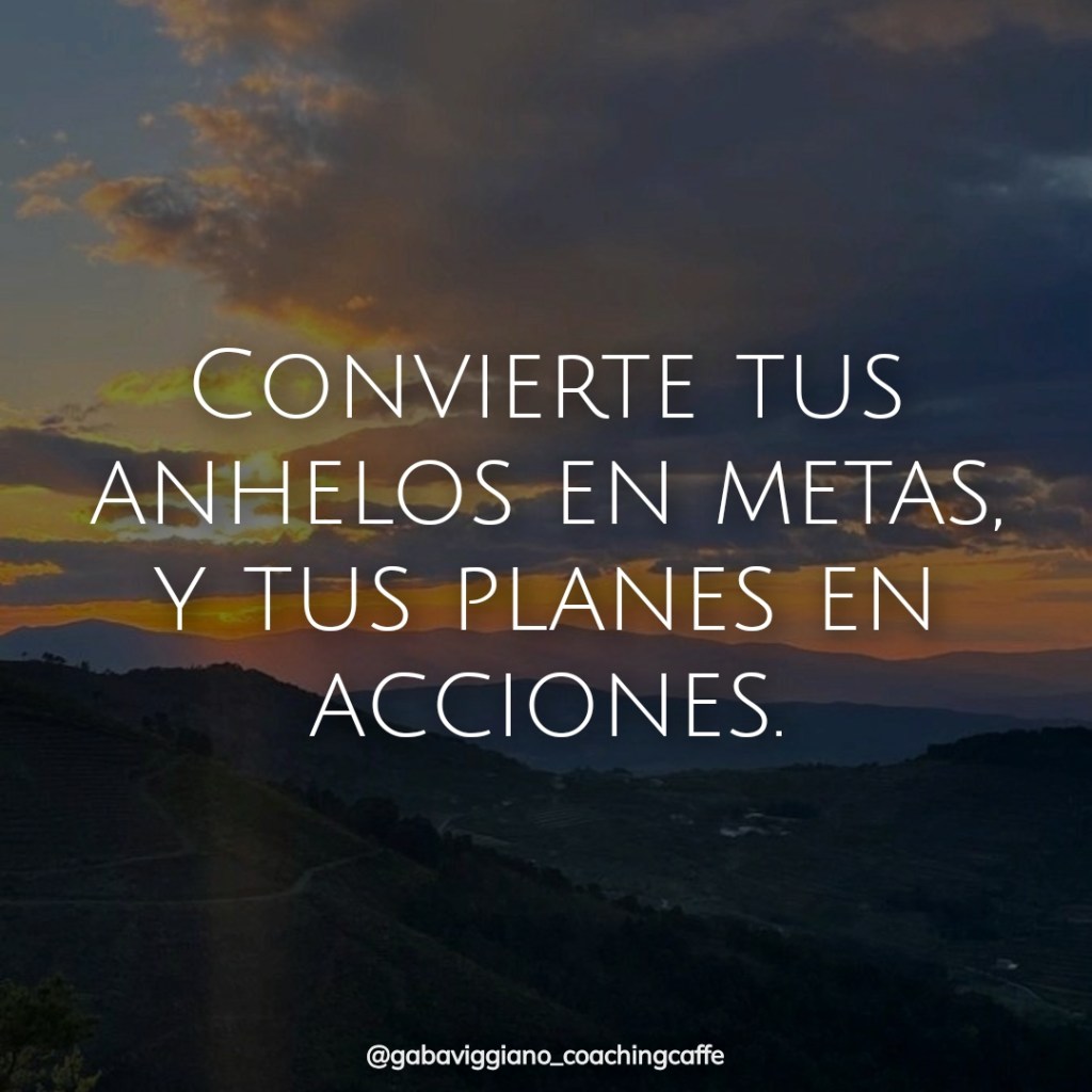 Metas y acciones