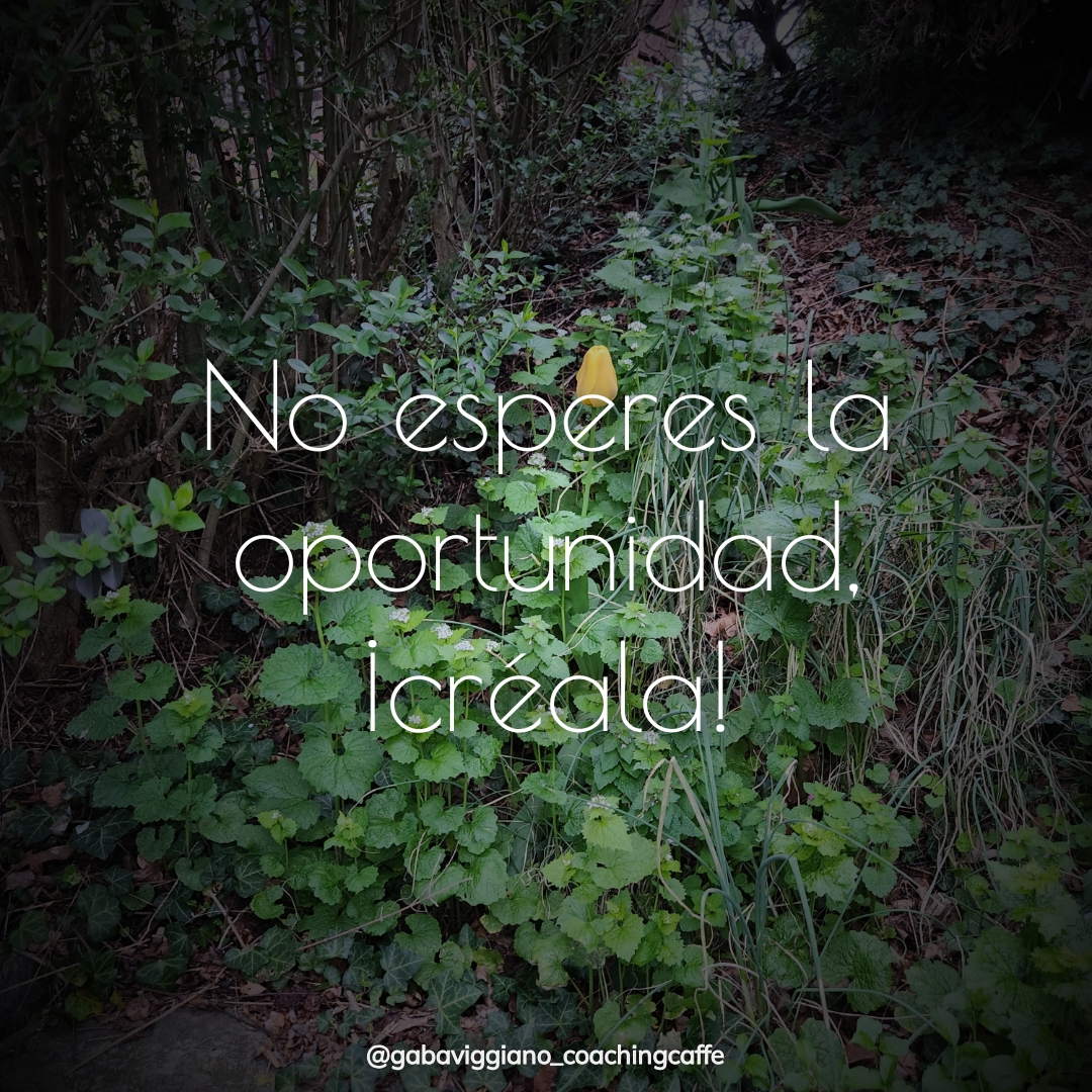 Crear