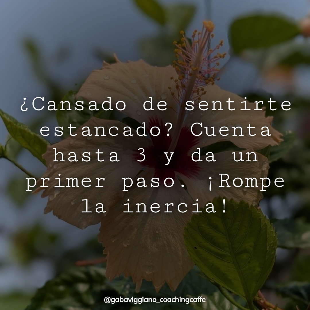 Primer paso